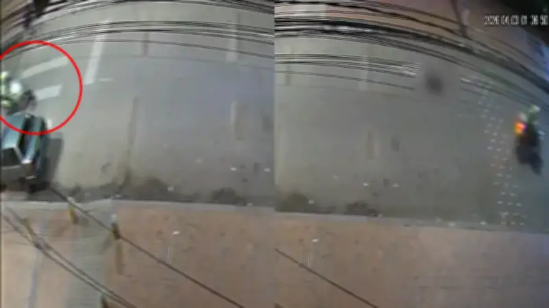 Policía investiga atropello de perra por motocicleta oficial en Bogotá: animal está estable