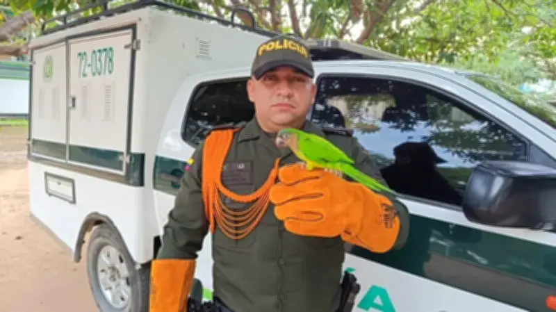 Policía recupera más de 3.500 aves silvestres en operativos contra tráfico ilegal durante Semana Santa
