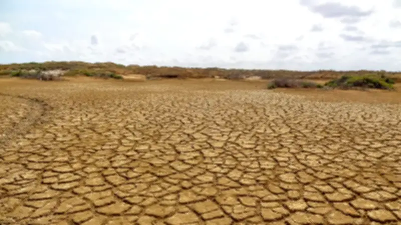 Posible llegada del fenómeno de El Niño a finales de 2026 preocupa a Colombia