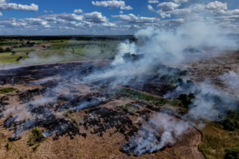 Pérdida de bosques tropicales en 2025: 4,3 millones de hectáreas devastadas