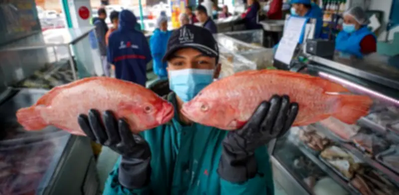 Precios del pescado en Semana Santa: aumentos de hasta 44% en algunas plazas de mercado