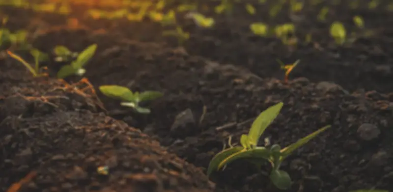 Producción de fertilizantes en Colombia: ¿por qué el país sigue dependiendo de importaciones?