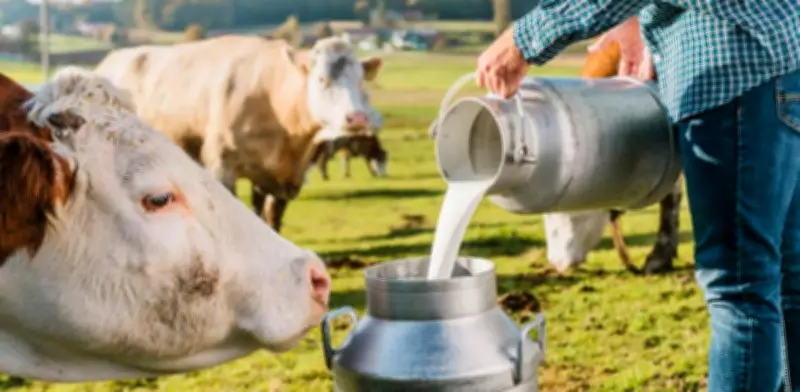 Producción lechera colombiana alcanza récord histórico con 8.405 millones de litros en 2025