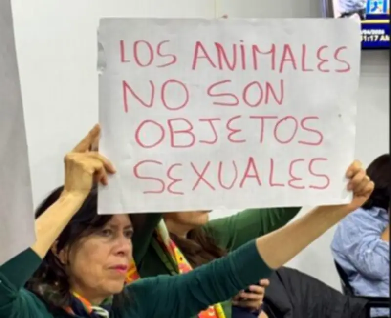 Proyecto de ley busca cárcel para abuso sexual contra animales en Colombia