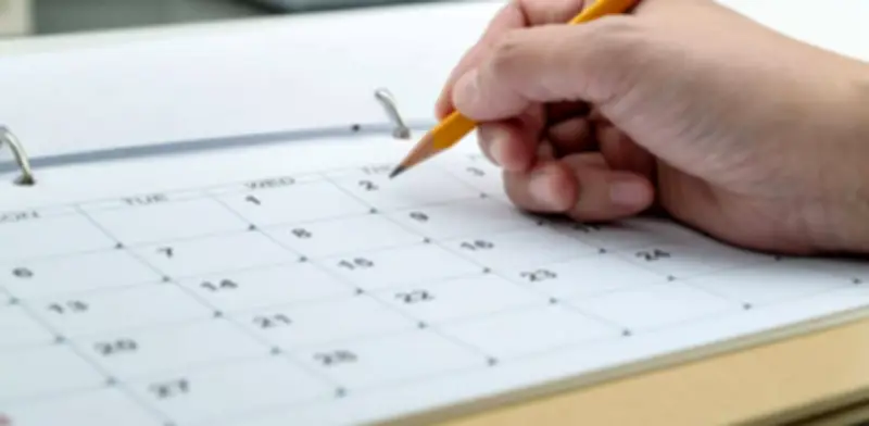 Puente del 18 de mayo dinamizará turismo y consumo interno