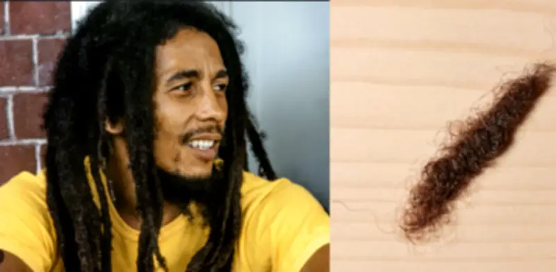 Rasta de Bob Marley no se vendió en subasta por no alcanzar los 33 mil dólares