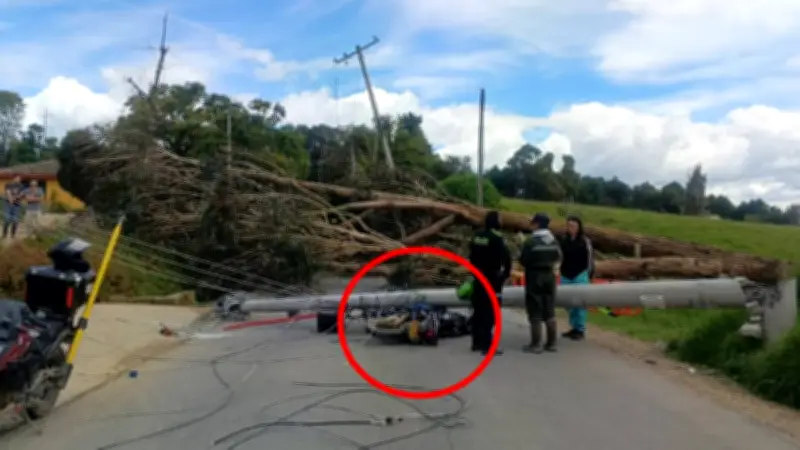 Árbol derriba poste sobre motociclista en Tabio: graves fracturas