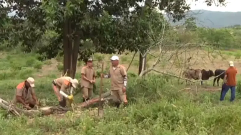 Reclusos de la cárcel de Girón producirán carne y leche para consumo interno del penal