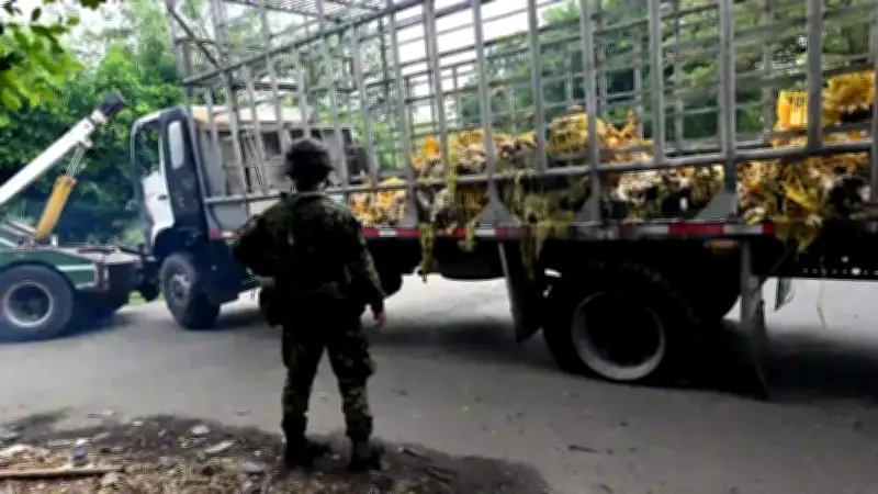 Recompensas de $5.000 millones por cabecillas de atentados en Valle y Cauca