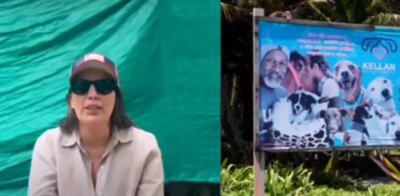 Refugio Canino Kellan en San Andrés denuncia amenaza mortal contra su fundador