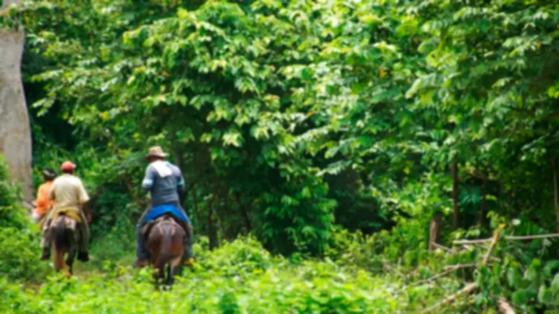 Restitución de tierras en Antioquia: solo el 12% de casos resueltos en 15 años