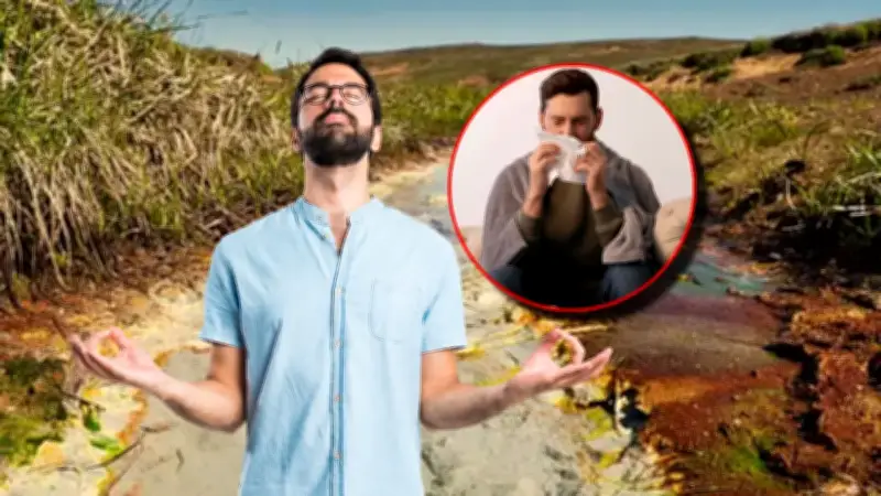 Riesgos de elementos peligrosos en el ambiente para la salud