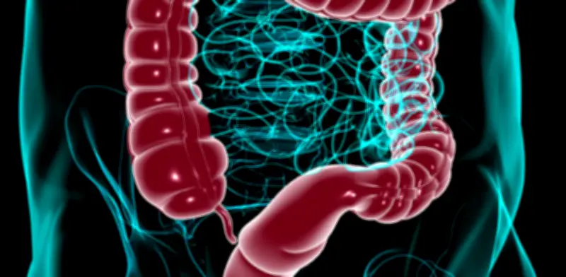 Sangrado al evacuar: síntoma clave que podría indicar cáncer de colon según especialista