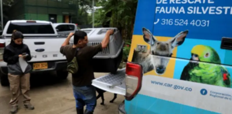 Semana Santa 2026: CAR atendió 42 emergencias de fauna silvestre en Cundinamarca
