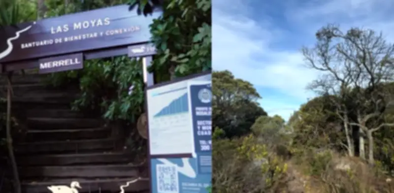 Sendero Las Moyas: El refugio natural de Bogotá para el bienestar y la historia muisca