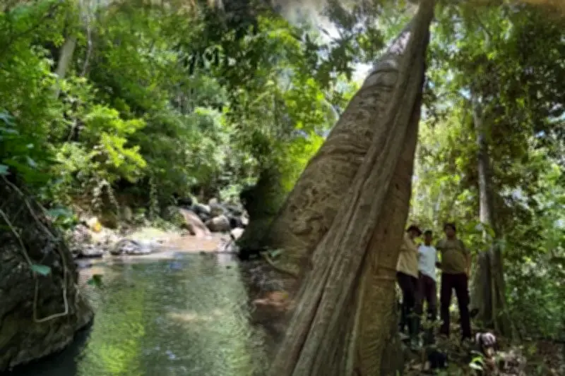 Serranía del Perijá: comunidades transforman violencia en turismo comunitario