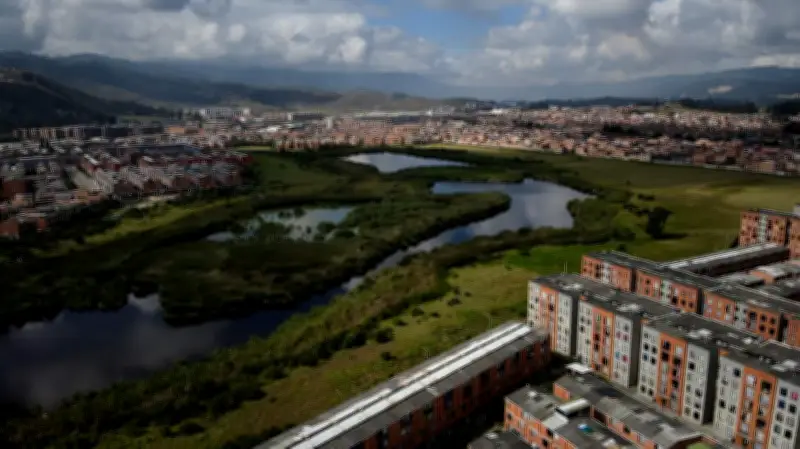 Soacha recupera más de 72 hectáreas en humedales estratégicos con inversión de $5.948 millones