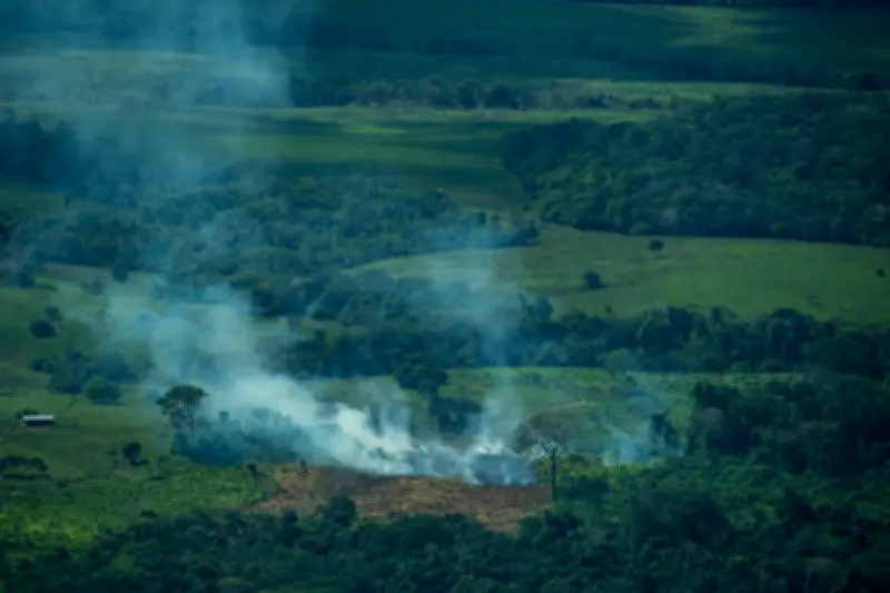 Tinigua: el parque nacional convertido en un 'hato ganadero' por la deforestación descontrolada