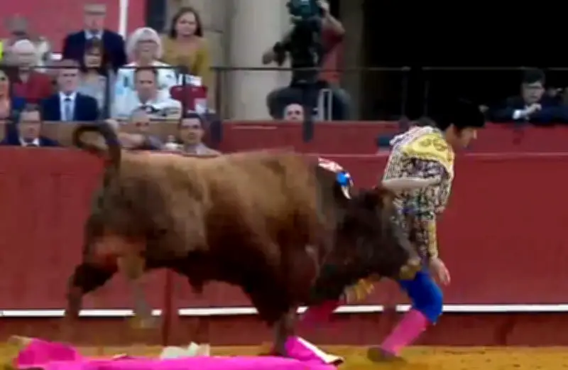 Torero español José Antonio Morante se recupera tras grave cornada en Sevilla: 'El dolor más fuerte de mi vida'