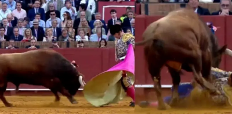 Torero español Morante de la Puebla en estado crítico tras cornada que perforó su recto