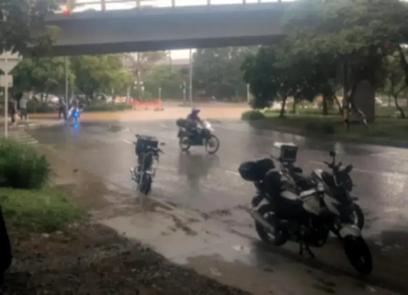 Tragedia en Medellín: Niña de 5 años fallece por caída de árbol durante aguaceros