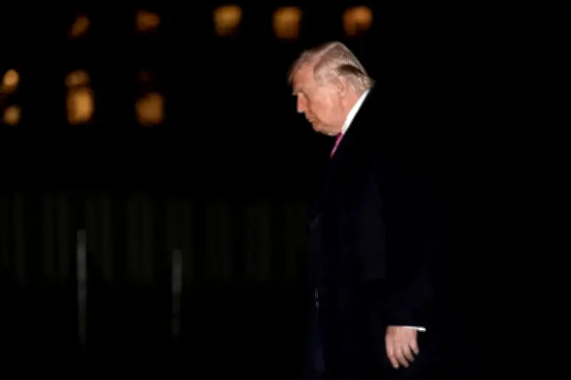 Trump cuestiona nuevamente compromiso de EE.UU. con la OTAN y la califica como 'tigre de papel'