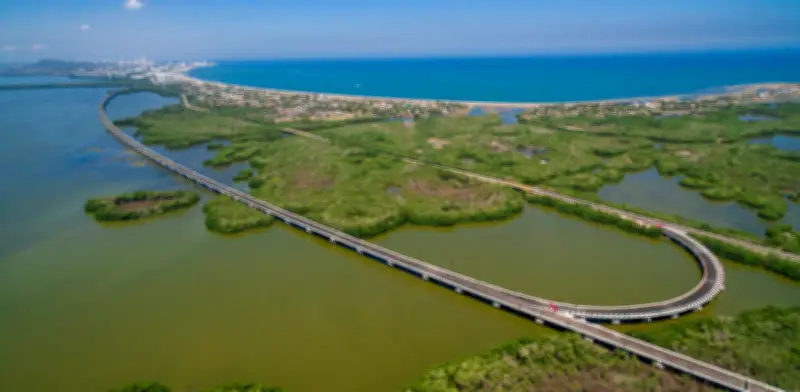 Tutela por manglares en Cartagena enfrenta a Procuraduría y Distrito por talas y riesgo ambiental