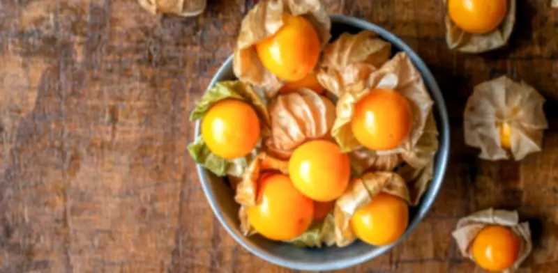 Uchuva colombiana inicia 2026 con recuperación en valor y precio tras caída exportadora en 2025