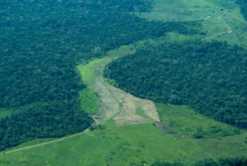 Una razón poderosa para proteger la Amazonía colombiana: su biodiversidad única