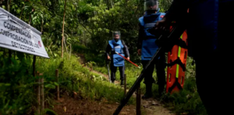 Víctimas de minas antipersonal aumentan un 23% en Colombia tras años de descenso