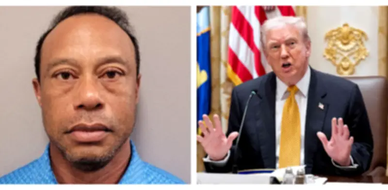 Video policial revela que Tiger Woods hablaba con Trump antes de su arresto en Florida