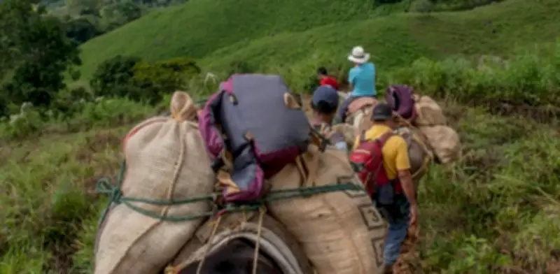 Violencia en Nariño desplaza a 81 familias indígenas y campesinas durante Semana Santa