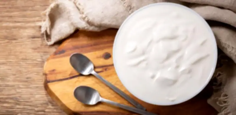 Yogur viili long: diferencias con kéfir, beneficios y preparación casera
