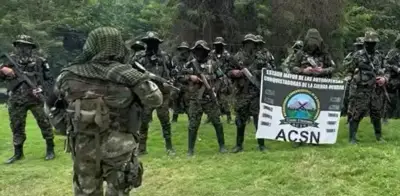 Alta Consejera para La Paz advierte fracaso del diálogo en Magdalena: grupos ilegales se fortalecieron en Sierra Nevada
