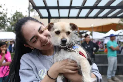 Bogotá impulsa jornadas de adopción de mascotas bajo el lema 'Adoptar es Amar sin Condiciones'