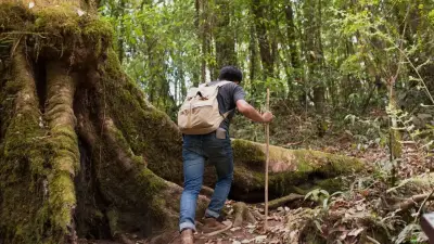 Bogotá ofrece caminatas ecológicas gratuitas en humedales durante abril