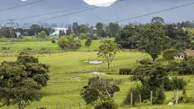 Bogotá recauda $41.987 millones en subasta de derechos de construcción para la Reserva Van der Hammen