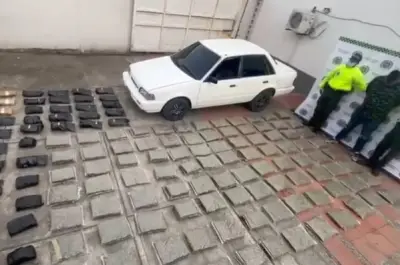 Capturan a sospechoso con 132 kilos de marihuana en zona rural de Villa Rica, Cauca