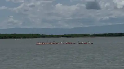 Cinco destinos imperdibles para visitar en La Guajira durante Semana Santa