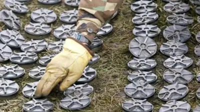 Colombia avanza en desminado humanitario: 912 municipios ya están libres de minas antipersonal