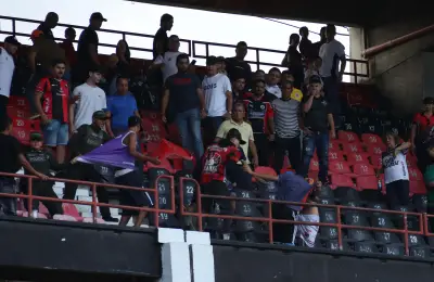 Consejo de Estado define: Policía es irremplazable en seguridad de estadios de fútbol