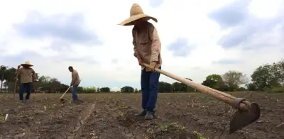 Corte Constitucional ordena a la Judicatura implementar justicia agraria para 2027