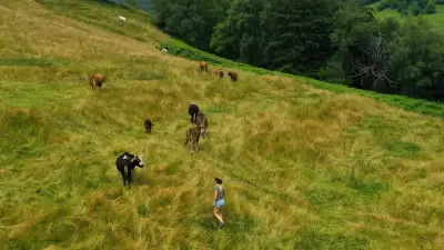 Corte Constitucional urge al Congreso a implementar justicia agraria