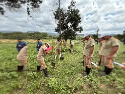 Cárcel de Palogordo crea granja integral pionera para reclusos en Santander
