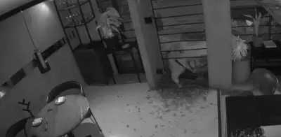 Dueño de 'Débora' en Zona G: ladrón sabía cómo moverse; robo duró 4 min