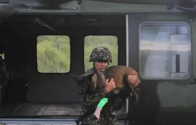 Ejército rescata a perrita militar mordida por serpiente en operación del Tolima