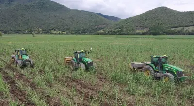 Empresa vallecaucana obtiene certificación internacional de plata en sostenibilidad agrícola
