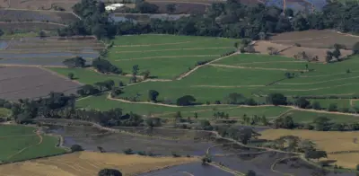 Empresarios alertan cierres y suspensión de operaciones por inseguridad en Catatumbo