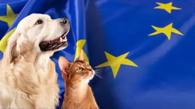 Europa exige microchip a perros y gatos y prohíbe recortes estéticos