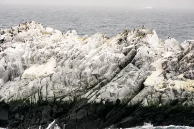 Expedición científica descubre isla inédita en la Antártida durante investigación oceánica